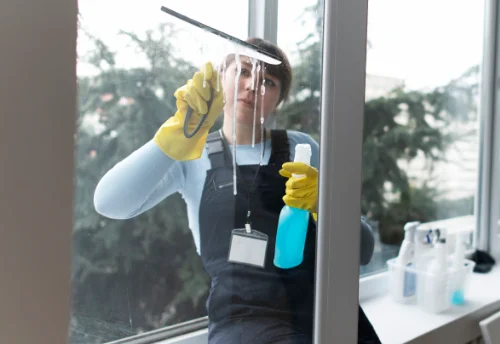 Nettoyage de vitres intérieures et extérieures à Saint-Jean-Lespinasse